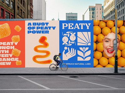 Peaty: Advertisement Poster advertisement brand identity branding design graphic design gummy illustration line art logo logo design modern natural orange poster print supplement vintage