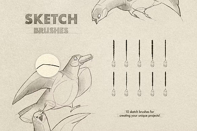 Free Sketch & Pencil Procreate Brushes art brushes charcoal craft drawing graphite grunge hatching illustration paper pencil procreate procreate app procreate art procreate brush procreate brushes shading sketch texture textures