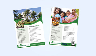 Flyer Design brochure design flyer design graphic print design