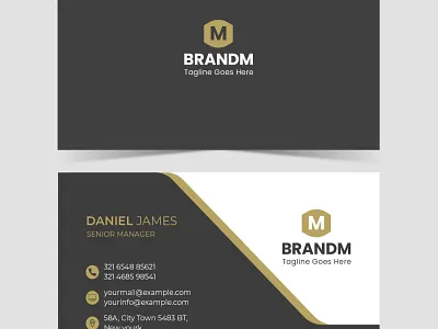 Business Card branding business card business card design design graphic design illustrator visiting card