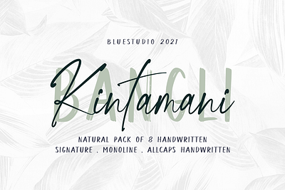 Bangli Kintamani 8 Handwritten Fonts branding font combinations font cursive font elegant font font handwritten font logo font logotype font modern font natural font script font signature font stylish font watermark font