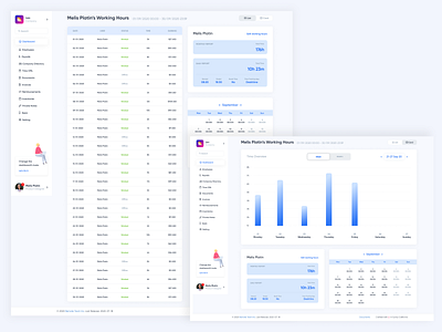 Time Tracking - Working Hours Report design designer designs flat ui ux