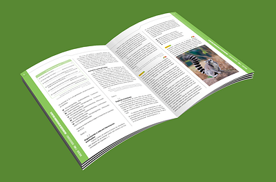 Handout Layout - Diagramming diagramming flat design graphic design layout