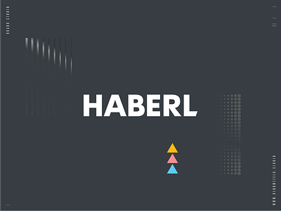 Haberl — investments under control branding design identity investment logo money portfolio typography