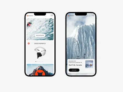 Easso branding concept design in interface logo typogaphy ui visual design