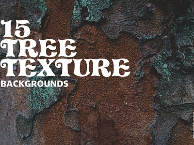 15 TREE TEXTURE BACKGROUNDS backgrounds bundel photo stock texture tree tree texture