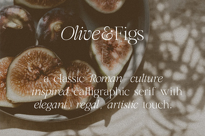 Olive & Figs - Regal Classic Serif branding classic creative market editorial design elegant font graphic design logo design regal serif type design typeface typography