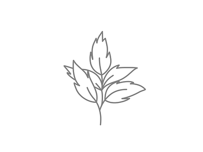 Botanical - Line Illustration 2 botanical doodle floral foliage hand drawn icon icons illustration leaves line art minimal minimalistic nature plant plants simple sketch