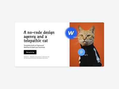 No code design agency and a clean concept design minimal no code simple typography