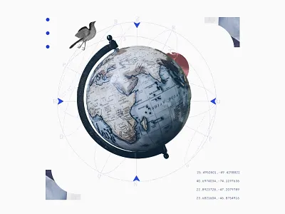 Free as a bird bird collage digital collage fintech free globe graphic ui