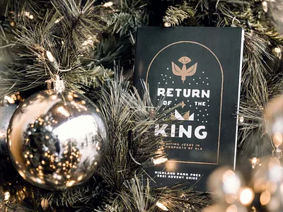 Return of the King advent advent guide book christmas church art dove print return of the king