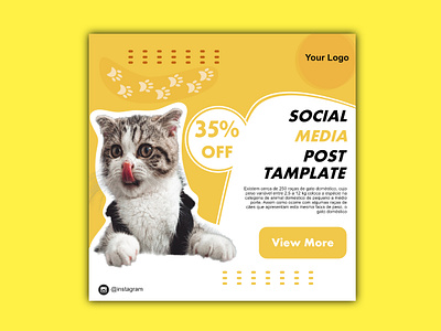 Social Media Post branding cat design graphic design instagram pet shop post yellow