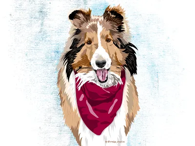 Collie pet portrait adobe illustrator animals digital art dog illustration dogs illustration illustration art illustrations illustrator pet illustration pets vector art vector illustration
