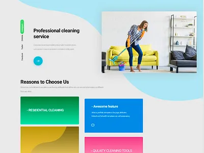 Website Design - Landing Page color design product website