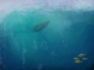 Ocean colours design graphic design illustration