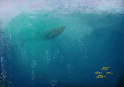 Ocean colours design graphic design illustration