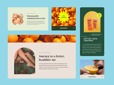 Skincare detox design graphic design ui web design