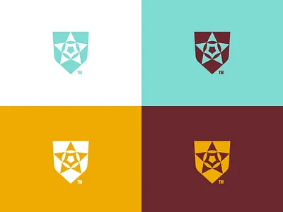 Star & Shield - Logo Concept branding design graphic design icon logo