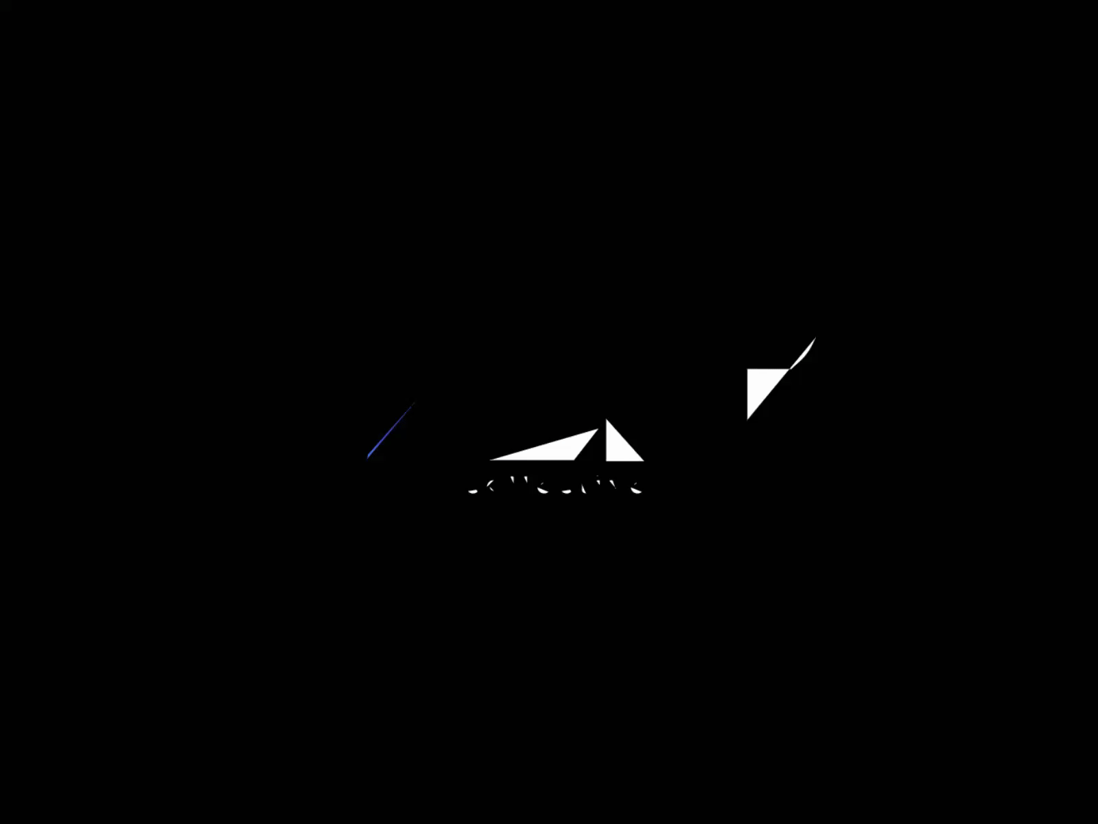 Lit Collective Branding branding design graphic design ui ux website