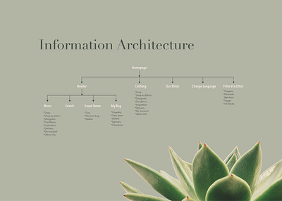 UX Project Information Architecture branding content design design information architecture typography ui ux ux design web design