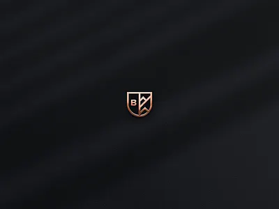 Brand Identity for Bertoglio Lawyers brandidentity branding design graphic design illustration justice law lawyer logo