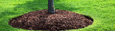 Mulch Delivery Rochester NY mulch delivery rochester ny mulching service rochester ny