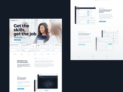 Openskimr: find the route, get the job!