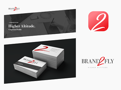 Brand2Fly Branding branding design graphic design logo typography ui