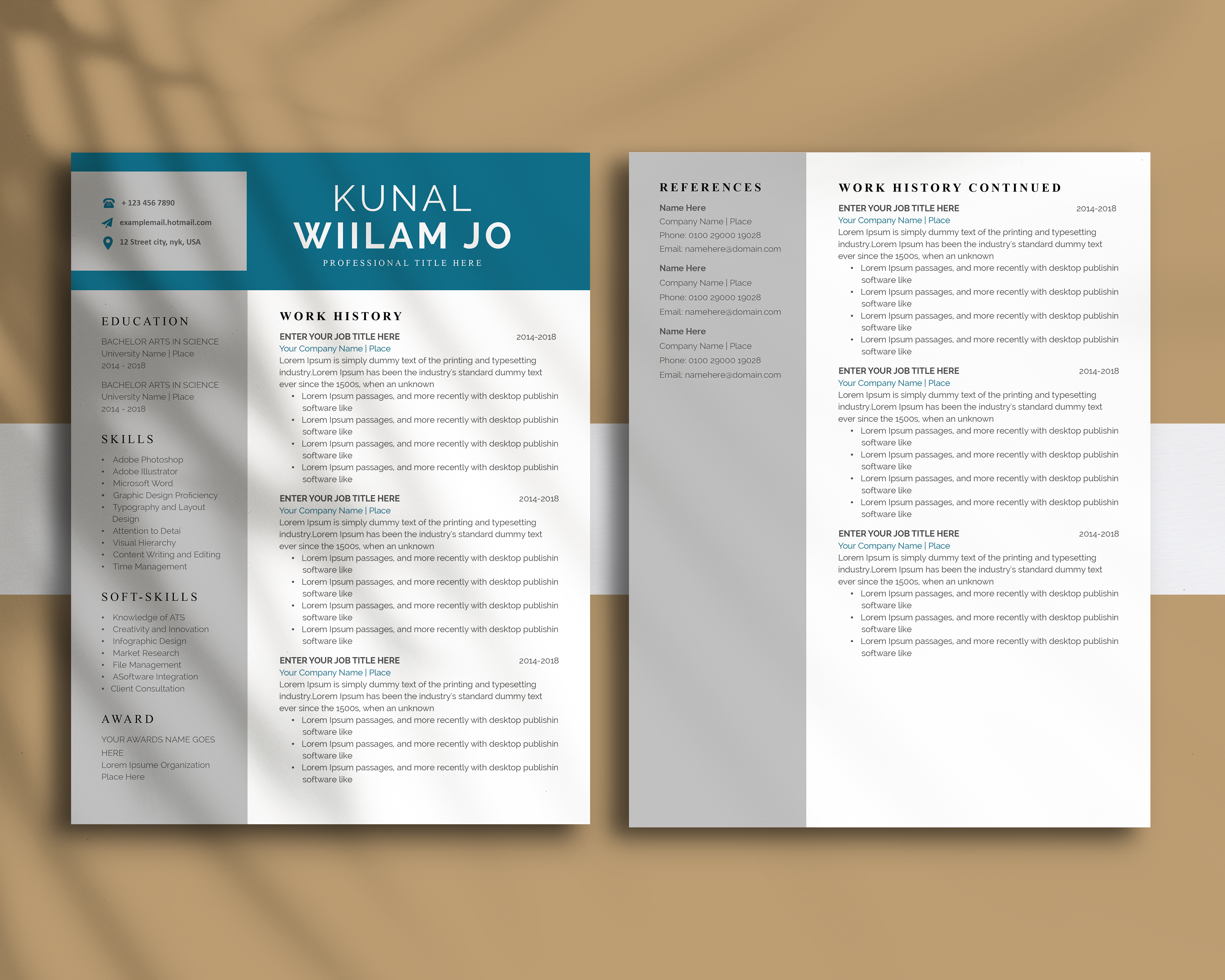 Professional Resume Design 2025 job search success