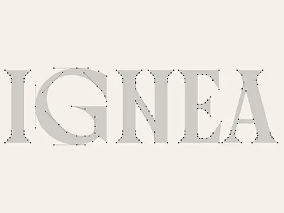 IGNEA logotype nodes argentina asis brand branding identity logo logotype nodes type typography wine word mark