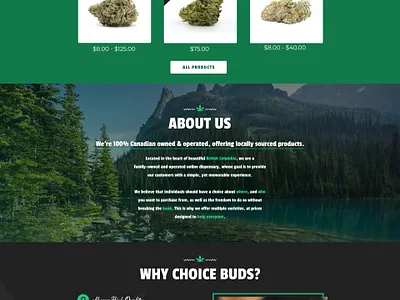 ChoiceBuds Homepage Design branding design homepage illustration landing page layout logo ui ux website