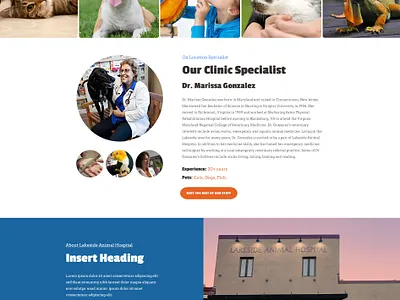 Lakeside Animal Hospital Homepage branding design homepage illustration landing page layout logo ui ux website