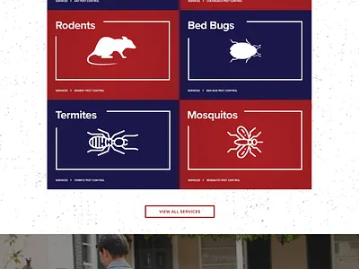 US Pest Control Homepage branding design homepage illustration landing page layout logo ui ux website
