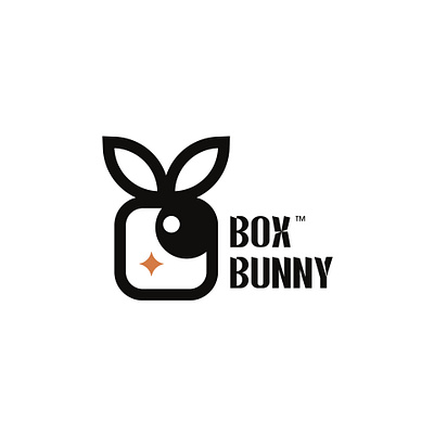 BOX BUNNY art birthday box branding bunny creative design flat gift idea illustration logo star