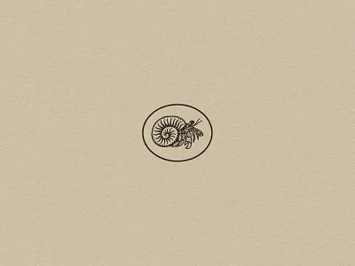 The Hermit Crab animal badge beach branding coast crab graphic design icon illustration logo ocean sea shell