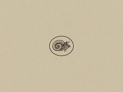 The Hermit Crab animal badge beach branding coast crab graphic design icon illustration logo ocean sea shell