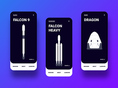 SpaceX App 3 app branding dark design illustration light logo mode space typography ui ux vector