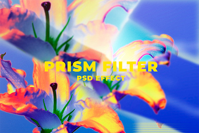 Prism Filter PSD Effect | Graphic Add-on Overlays add ons design digital art editing effect filter effect fliter free graphic graphic design high definition overlay photo effect photoshop preset print prism filter prism kaleidoscope professional psd