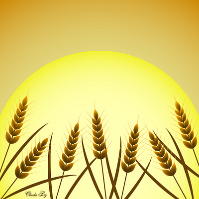 Sunrise over wheat field illustration nature scenery sky sun sunrise ukraine vector wheat