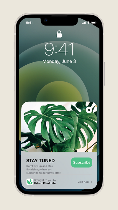 Subscribe | UI daily ui figma ui