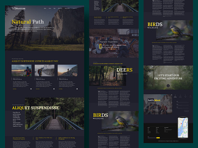 Natural Path animal blue dark design devoloper figma landing landing page nature ui ux wordpress yellow