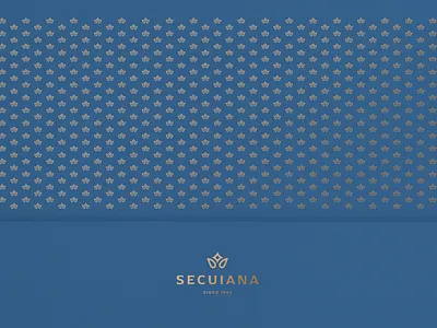 Secuiana brand identity brand branding hunap hunapstudio illustration kapor logo secuiana