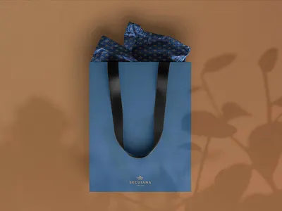 Secuiana Brand Identity bag box brand branding clean design fashion gift hunap hunapstudio illustration kapor logo package secuiana