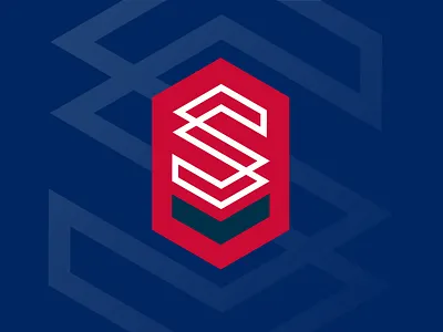 Secure Measures Brand branding design flat illustration logo security typography