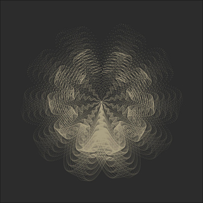 Wooommh design graphic design illustration vector