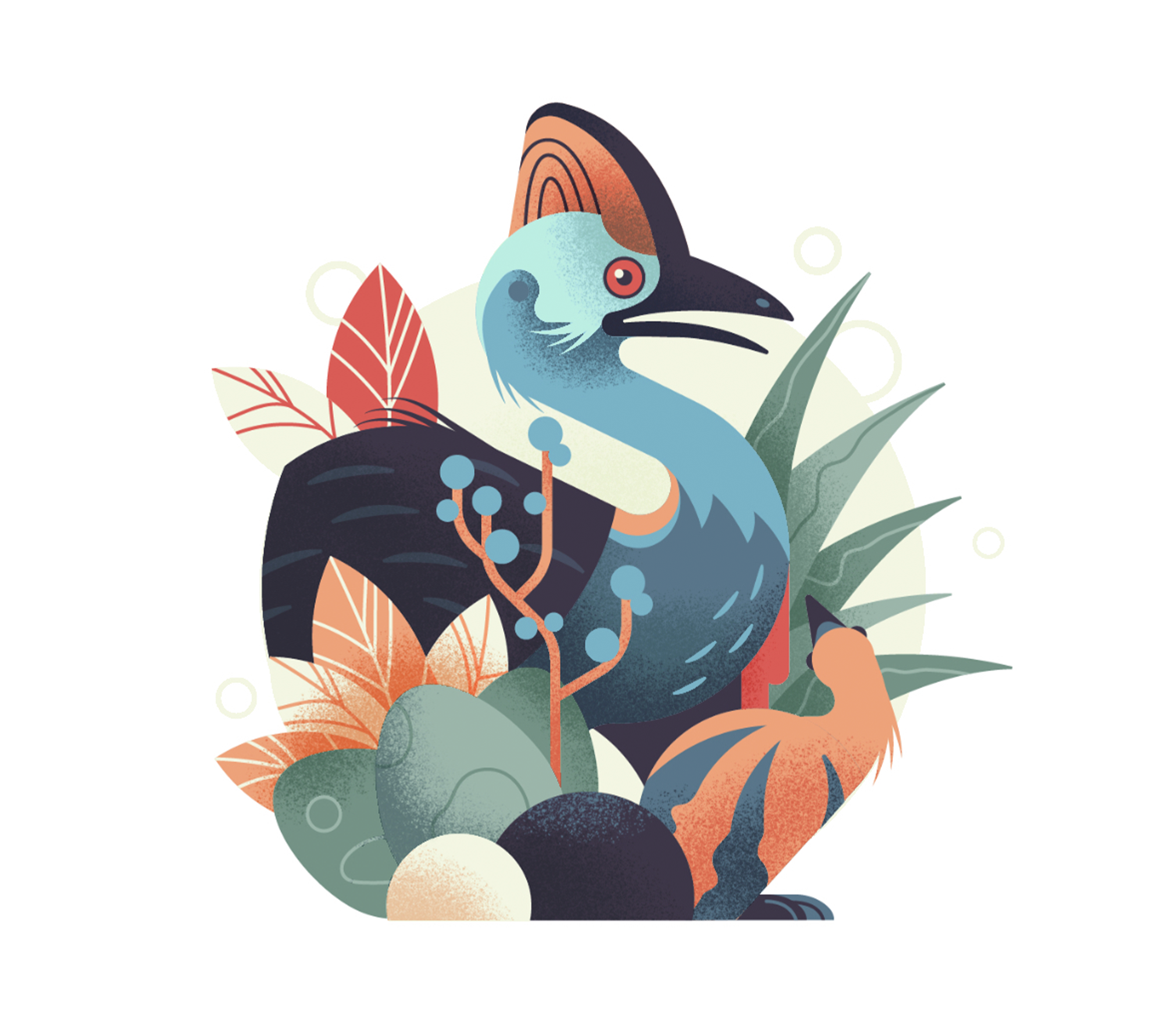 Example of Cassowary Vector Art