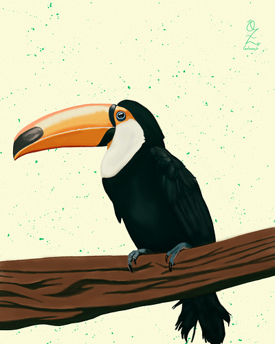 Tucán Ilustración by Oz Galeano animal art arte arte ozgaleano ave bird design dibujo digitalart drawing illustration ilustracion logo mexico ozgaleano tucan