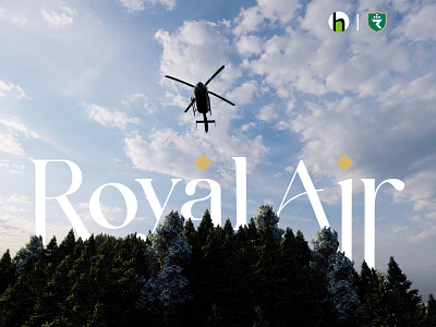 Royal Air Airline Branding & Website Design & Development airline airlinebranding airlinecompanywebsite airlinelogo airlineuiuxdesign airlinewebsite branding brandingagency interaction design motion graphics privateairlinewebsite ui ux uxdesign web website