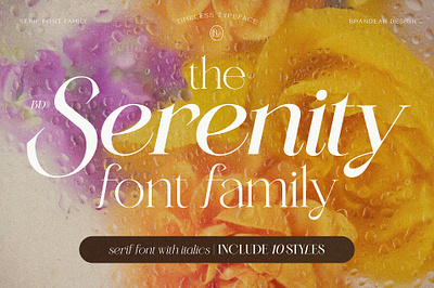 BD Serenity - Serif Font design font fontdesign graphic design logo typedesign typeface typography