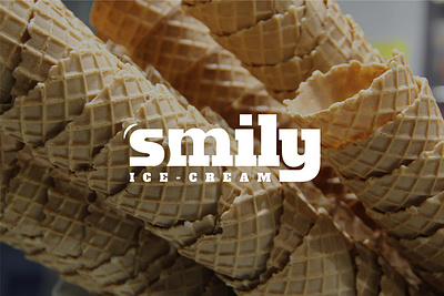 Smily-ICE branding design graphic design illustrator logo